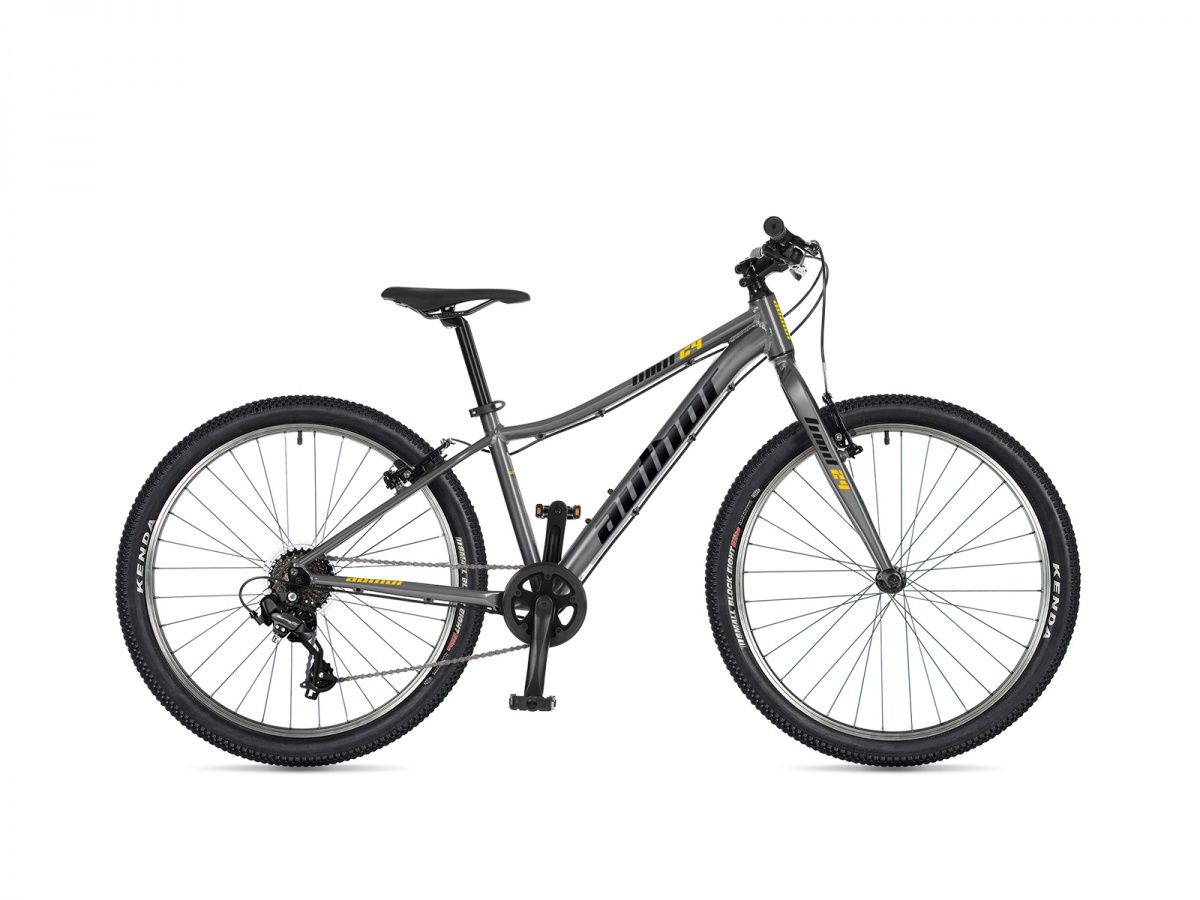 AUTHOR Limit 24 2026 12,5 AUTHOR Limit 24 2026 12,5