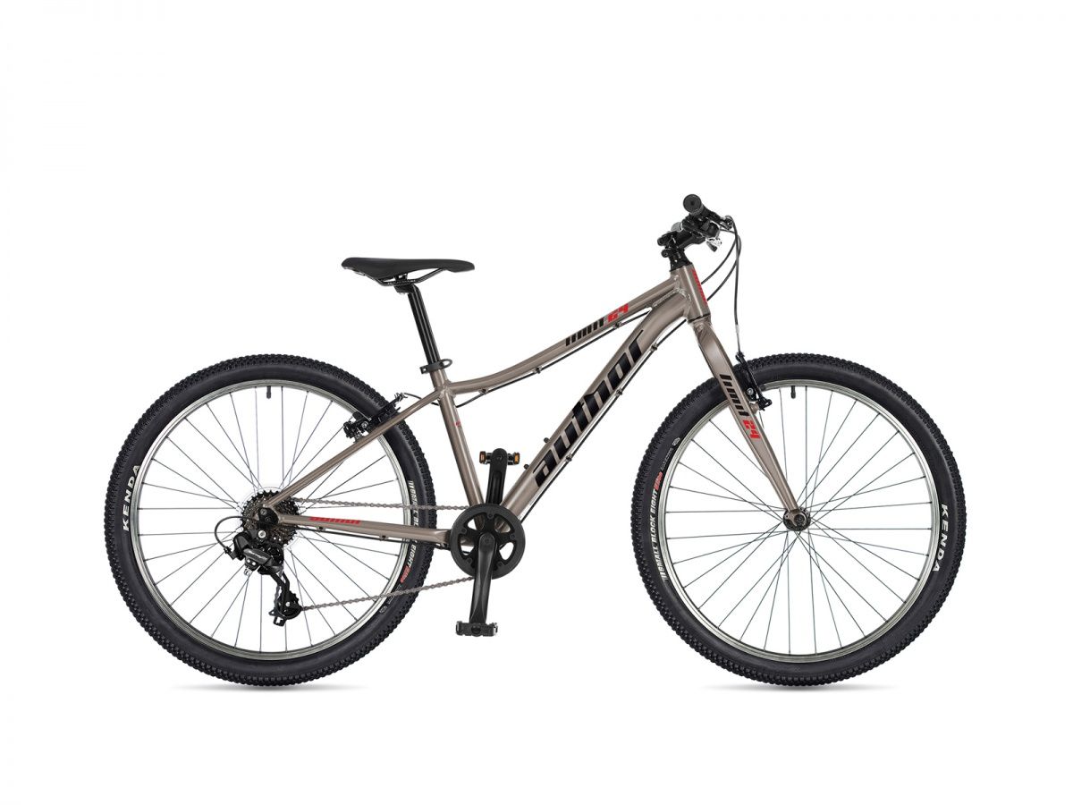 AUTHOR Limit 24 2026 12,5 AUTHOR Limit 24 2026 12,5