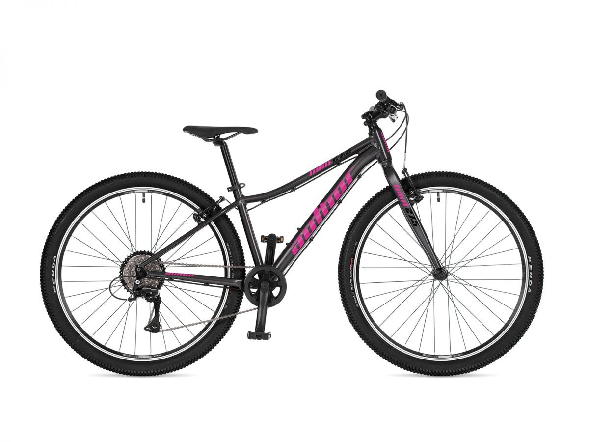 AUTHOR Limit 27,5 2026 14 AUTHOR Limit 27,5 2026 14