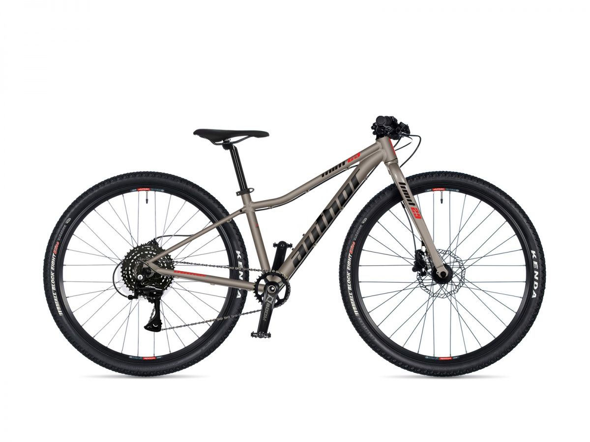 AUTHOR Limit 29 2026 16 AUTHOR Limit 29 2026 16