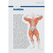 Kulturistika na anatomických základech (Michael Israetel)