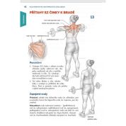 Kulturistika na anatomických základech (Michael Israetel)