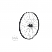 kolo zadní FORCE BASIC DISC 622x19 F804333-6d 32d