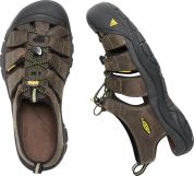 Keen NEWPORT MEN bison US 15