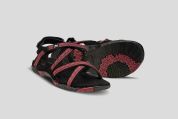 Hannah FRIA W roan rouge UK 6