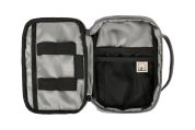 Hannah TRAVEL CASE silver sage