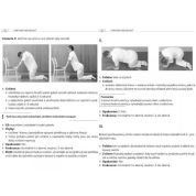 Cviky na vaši bolest (Kamil Ramík) Cviky na vaši bolest (Kamil Ramík)