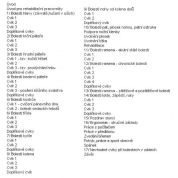 Cviky na vaši bolest (Kamil Ramík) Cviky na vaši bolest (Kamil Ramík)