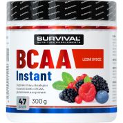 BCAA Instant - 300 g, meloun BCAA Instant - 300 g, meloun