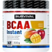 BCAA Instant - 300 g, pomeranč BCAA Instant - 300 g, pomeranč