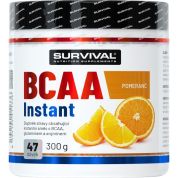 BCAA Instant - 300 g, borůvka BCAA Instant - 300 g, borůvka