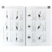 Zdravotně-kompenzační cvičení (Andrea Levitová, Blanka Hošková)