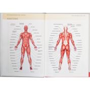 Cvičení pro zdravá záda - anatomie (Philip Striano)