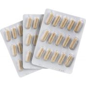 Testo Virus Part 2 Testo Virus Part 2