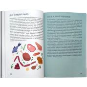 Rozhodni se být zdráv (Jan Vojáček) Rozhodni se být zdráv (Jan Vojáček)