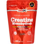 Creatine Monohydrate Powder - 300 g