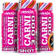 CarniShot 3000 - 20x 60 ml, mango