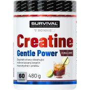 Creatine Monohydrate Gentle Power - 480 g, broskev