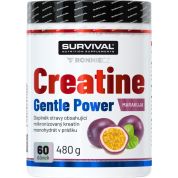 Creatine Monohydrate Gentle Power - 480 g, broskev