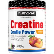 Creatine Monohydrate Gentle Power - 480 g, cola-citron (cuba libre) Creatine Monohydrate Gentle Power - 480 g, cola-citron (cuba libre)