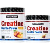 Creatine Monohydrate Gentle Power - 480 g, marakuja