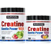 Creatine Monohydrate Gentle Power - 320 g, marakuja