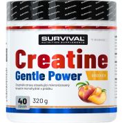 Creatine Monohydrate Gentle Power - 320 g, limeta-jahoda