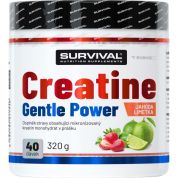 Creatine Monohydrate Gentle Power - 320 g, broskev