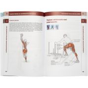 Funkční trénink na anatomických základech (Kevin Carr) Funkční trénink na anatomických základech (Kevin Carr)