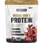 Hydro Whey Protein - 1000 g, mléčná čokoláda Hydro Whey Protein - 1000 g, mléčná čokoláda
