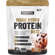 Magic Hydro Protein DH32 - 1000 g, hořká čokoláda