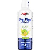 ProFlex Collagen Liquid - 1000 ml, ovoce ProFlex Collagen Liquid - 1000 ml, ovoce