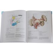 Anatomie 2 (Radomír Čihák) Anatomie 2 (Radomír Čihák)