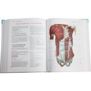 Anatomie 1 (Radomír Čihák) Anatomie 1 (Radomír Čihák)