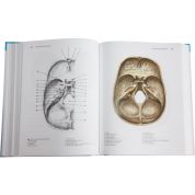 Anatomie 1 (Radomír Čihák) Anatomie 1 (Radomír Čihák)