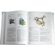 Anatomie 1 (Radomír Čihák) Anatomie 1 (Radomír Čihák)