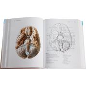 Anatomie 3 (Radomír Čihák) Anatomie 3 (Radomír Čihák)