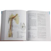 Anatomie 3 (Radomír Čihák) Anatomie 3 (Radomír Čihák)