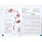 Atlas svalů - anatomie (Chris Jarmey, John Sharkey) Atlas svalů - anatomie (Chris Jarmey, John Sharkey)