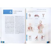 Atlas svalů - anatomie (Chris Jarmey, John Sharkey) Atlas svalů - anatomie (Chris Jarmey, John Sharkey)