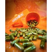 Grenade Thermo Detonator