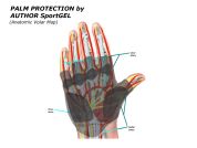 AUTHOR Rukavice Lady Sport Gel X6 k/p L (bílá/růžová/černá) AUTHOR Rukavice Lady Sport Gel X6 k/p L (bílá/růžová/černá)