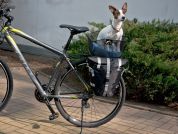 AUTHOR Koš AO-CarryMore 22 l (černá) AUTHOR Koš AO-CarryMore 22 l (černá)