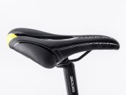 AUTHOR Rival 29 2023-24 19