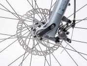 AUTHOR Rival 29 2023-24 19