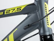 AUTHOR Impulse 27,5 2023-24 19