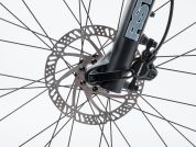 AUTHOR Impulse 29 2023-24 21 AUTHOR Impulse 29 2023-24 21