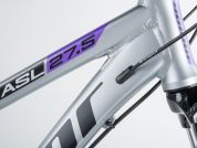 AUTHOR Solution 27,5 ASL 2023-24 18