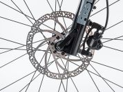 AUTHOR Solution 29 2023-24 17