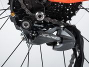 AUTHOR Solution 29 2023-24 19